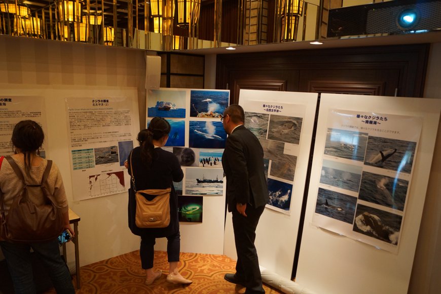 調査捕鯨の様子は展示パネルとムービーで紹介。