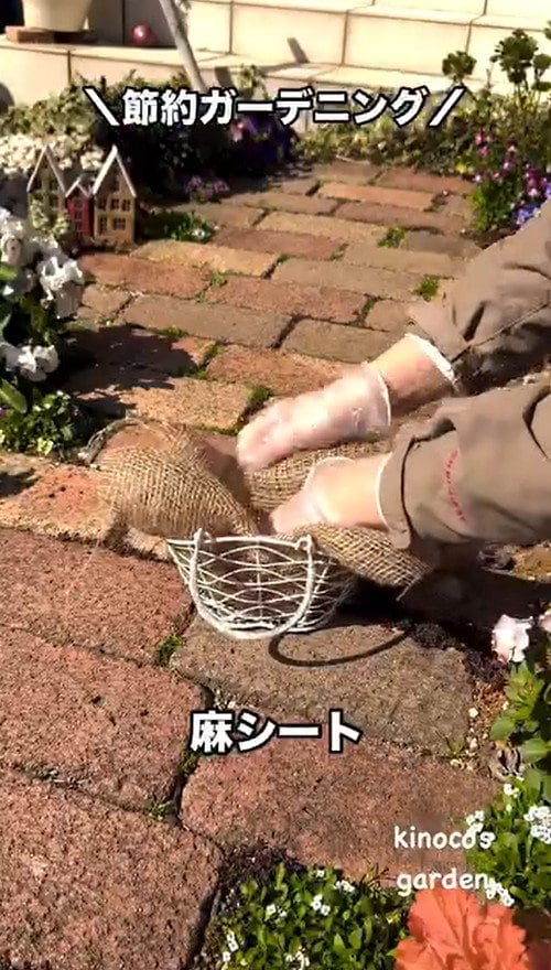 【節約ガーデニング】いらなくなった「不用品のカゴ」→素敵な「ビオラのプランター」に変身！初心者OKの簡単リメイク術！