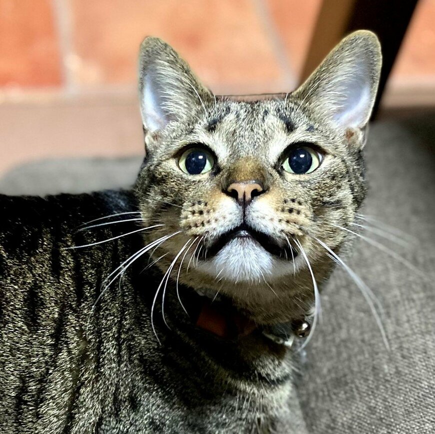 出所：@luna7taka9