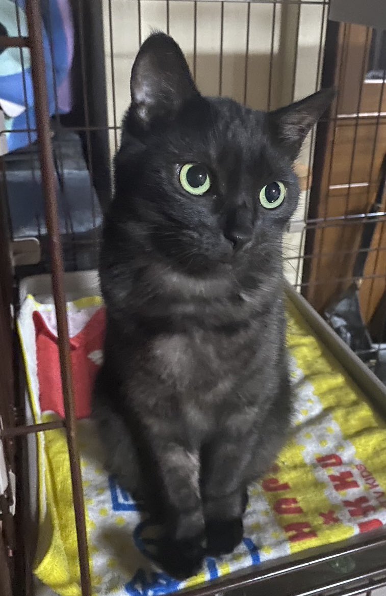 出所：@8rjXhLaRHFwK9l2