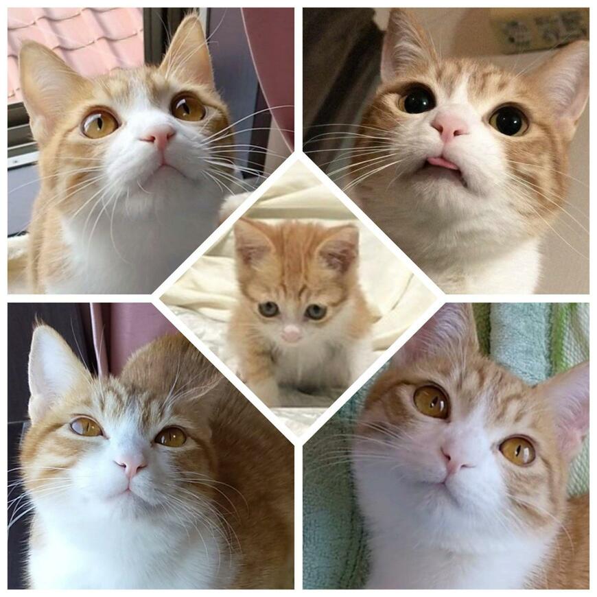 出所：@mero627puri914