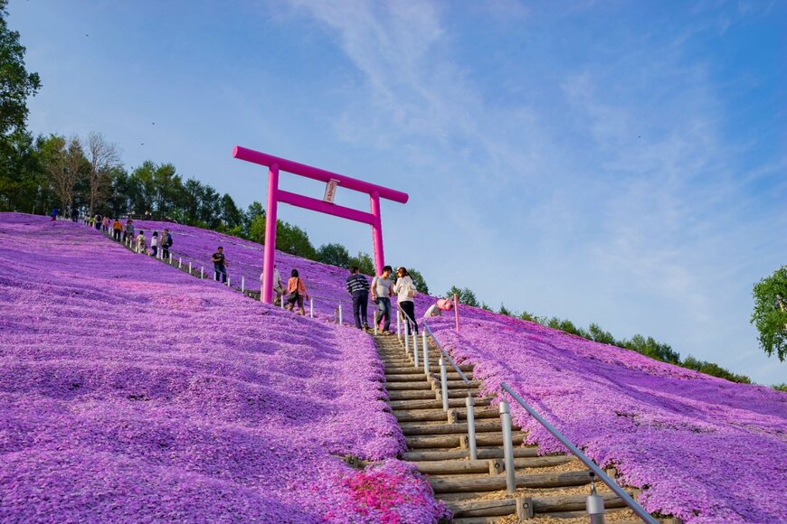 【全国旅行支援】2023年5月24日更新！5月以降の予約を開始する旅行予約サイトまとめ