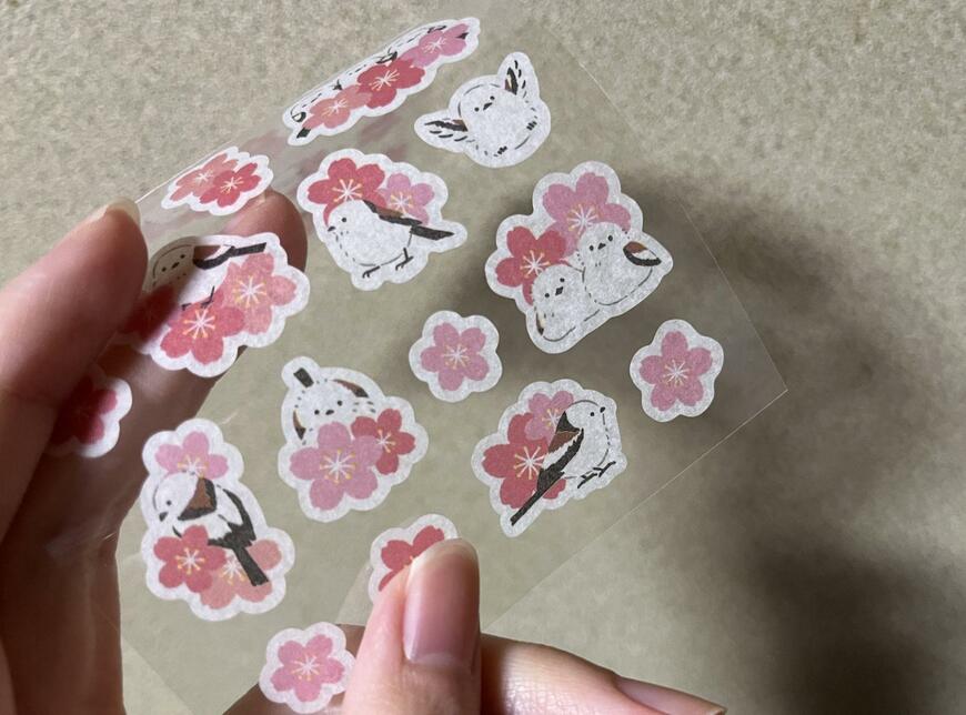 筆者撮影（ダイソー、ステッカー（桜とシマエナガ））