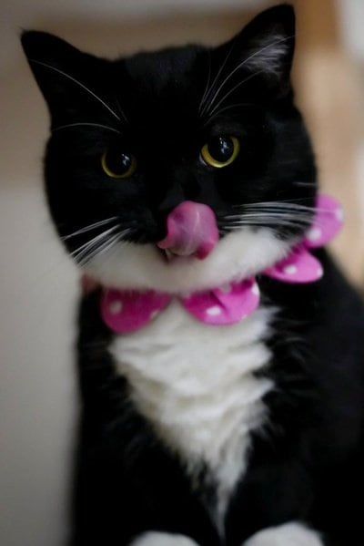 出所：@unicouniuni3