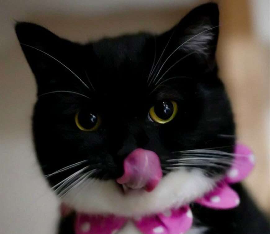 出所：@unicouniuni3