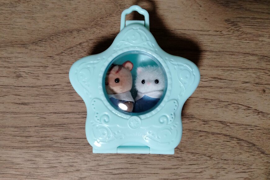 筆者撮影（セリア、ラッピング窓付ケース 星型）