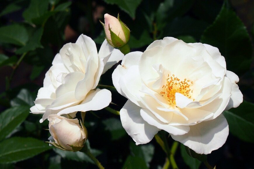 akimari/istockphoto.com