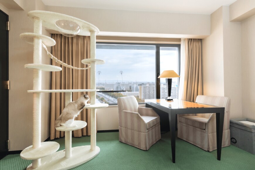 画像出所：ハイアット リージェンシー 大阪