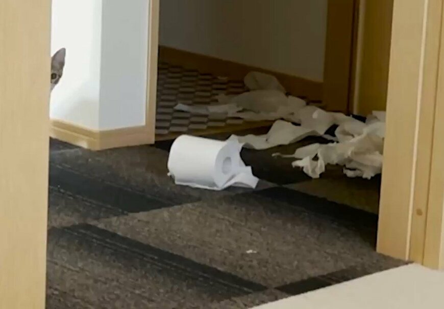 出所：@totomaru_hanmi