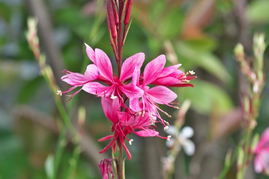 TokioMarineLife/istockphoto.com