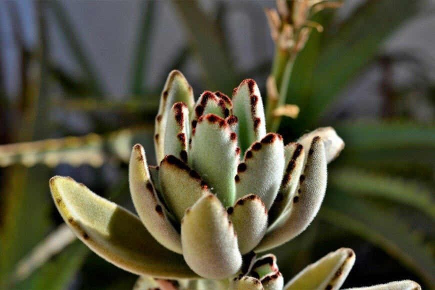 NancyAyumi/istockphoto.com