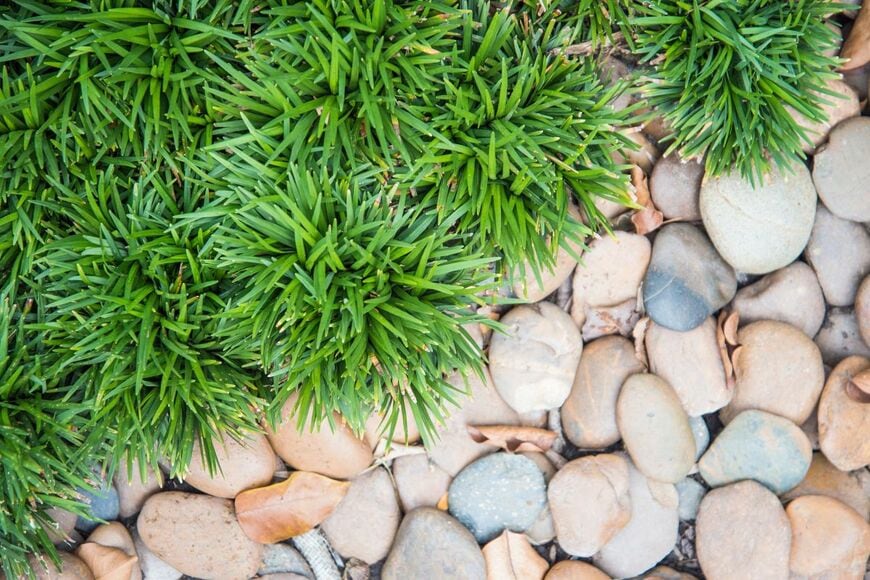 JKI14/shutterstock.com