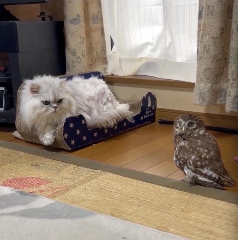 出所：@cr8673.hiro