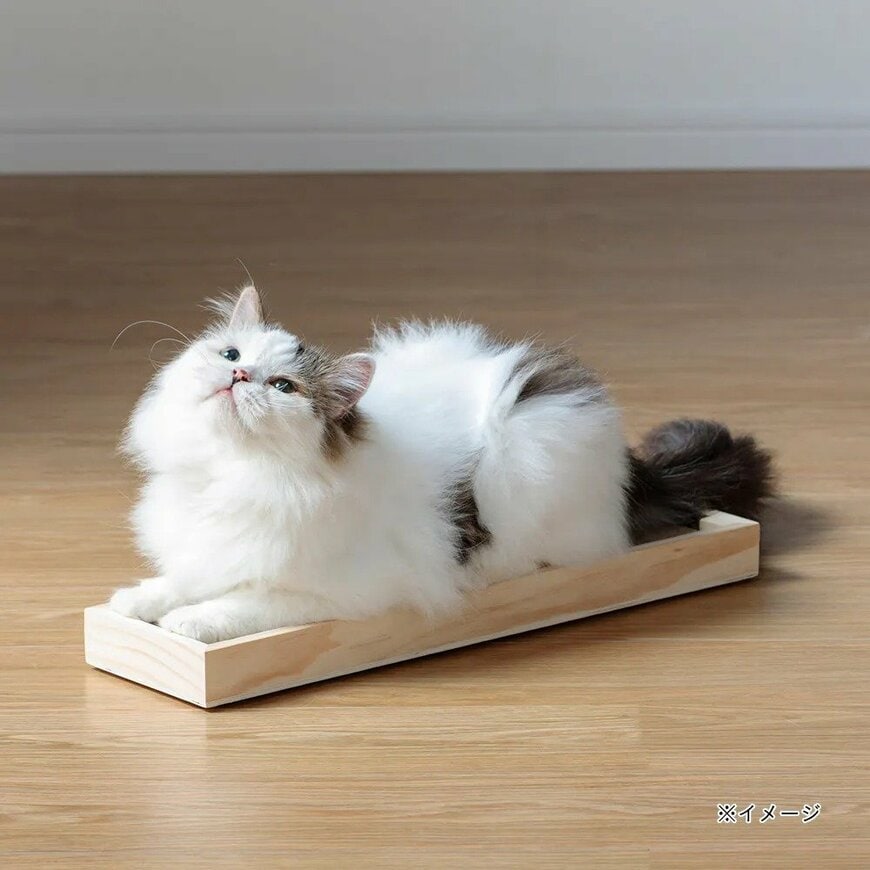 画像出所：カインズ公式オンラインストア