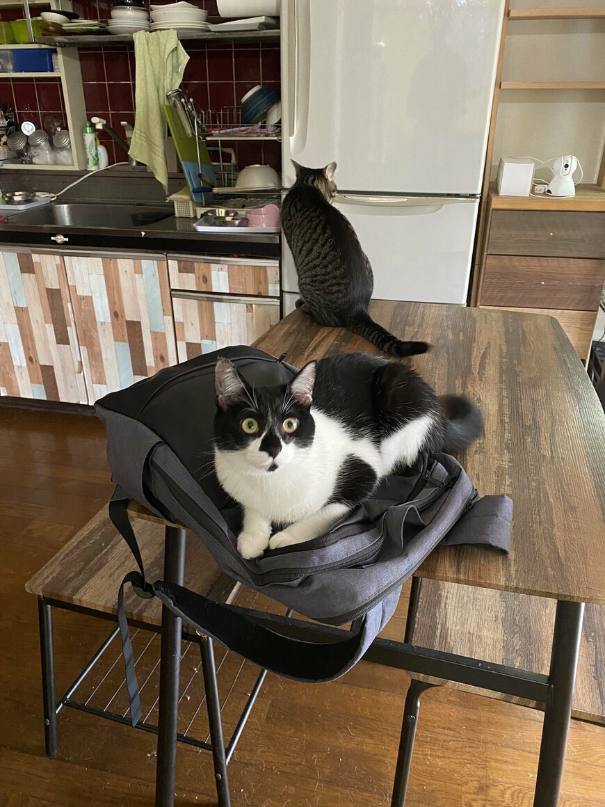 出所：@00shitemita