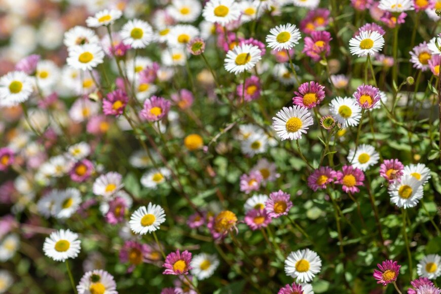 Tom Meaker/istockphoto.com