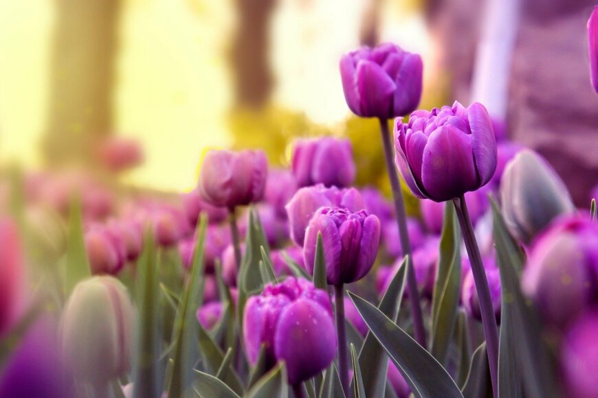 Alona Hrinchenko/istockphoto.com