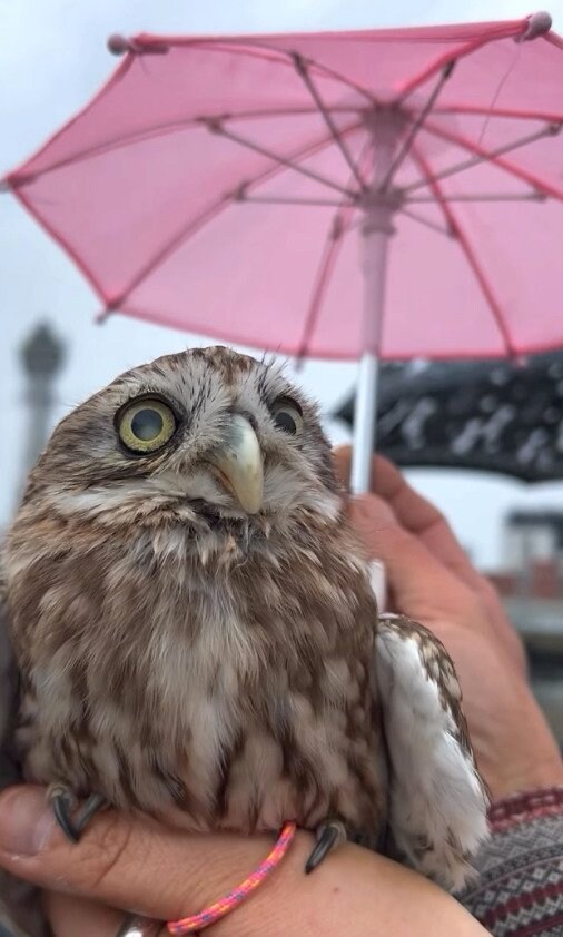 出所：@cr8673.hiro