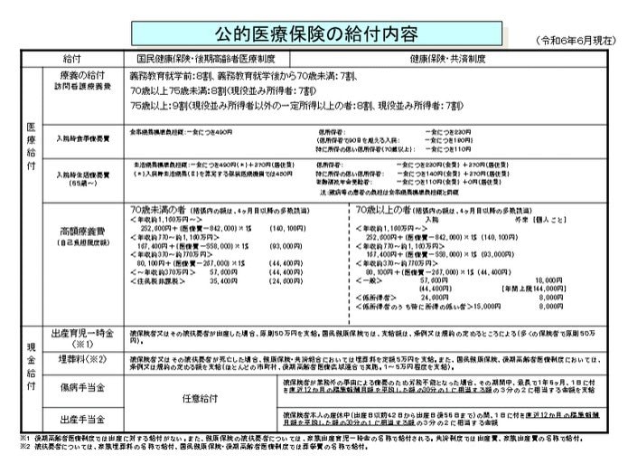 公的医療保険の給付内容