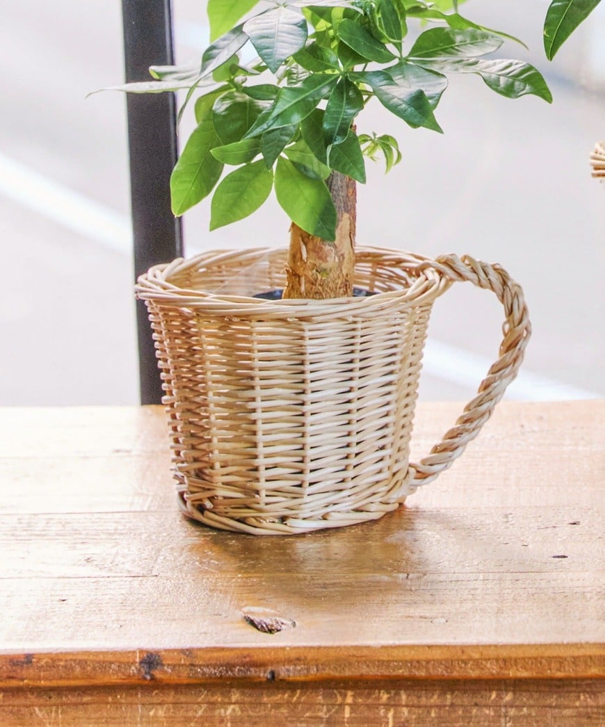 出所:パルグループ公式ファッション通販サイト 柳コップ型バスケット:S