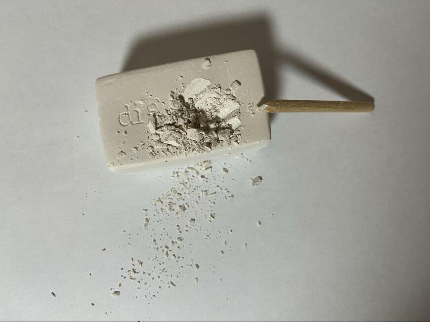 セリア、発掘！化石ミュージアム画像