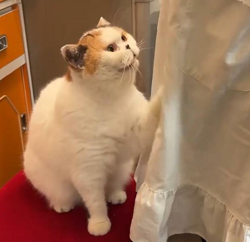 左手でちょいちょい。