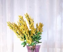 本物のミモザかと思ってよく見たら…まさかの驚きの正体に「え？と思って拡大した」「春を感じますね」