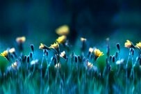 70代以上「貯蓄100万円未満」の割合はどの程度か