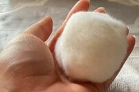 【9万いいね】大福？ハムスター？“目を疑う光景”が大反響！「食べればわかる」の声