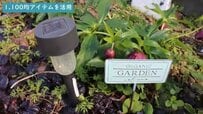 【ガーデニング代節約】庭作りの達人が教える《100均アイテム》活用術「ガーデンライト」で庭を華やかに大変身！