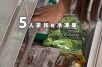 【戸建て簡単DIY】5人家族の冷凍庫を改造　機能的で使いやすい「リバウンドゼロの収納」が完成