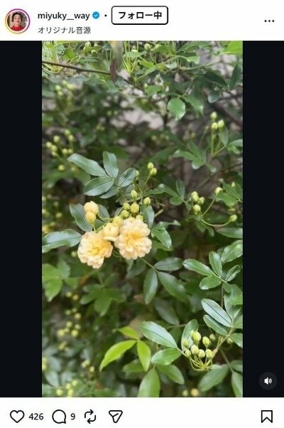 香坂みゆきのInstagram投稿