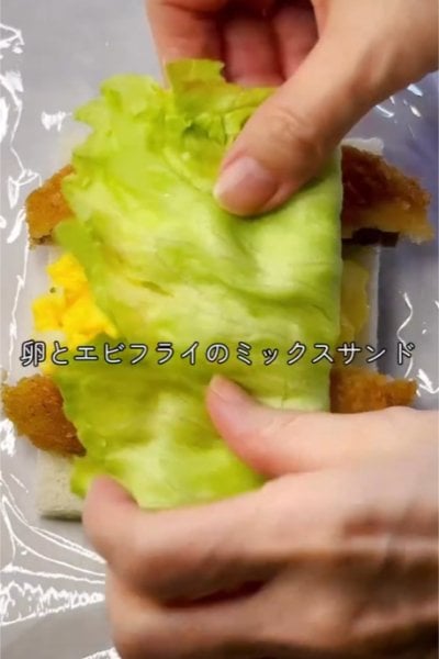 投稿動画のワンシーン