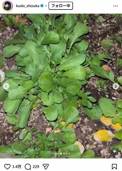 工藤静香のInstagram投稿