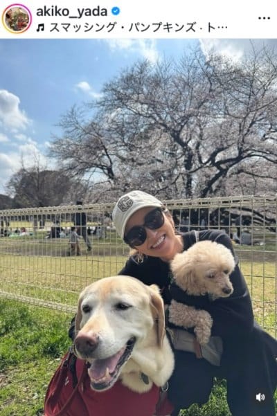 矢田亜希子のInstagram投稿