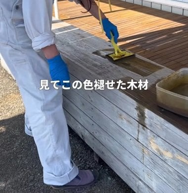 投稿の画像