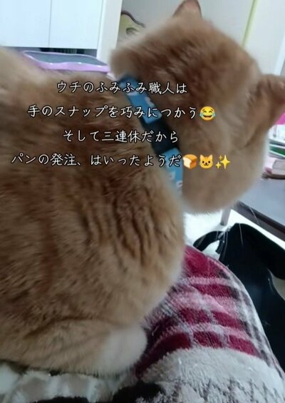 一仕事終えて一休み