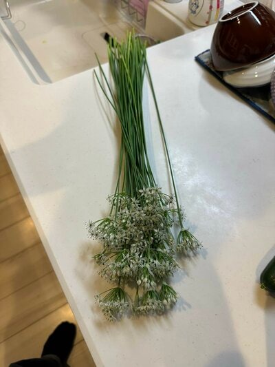 可憐な花束みたいなニラ
