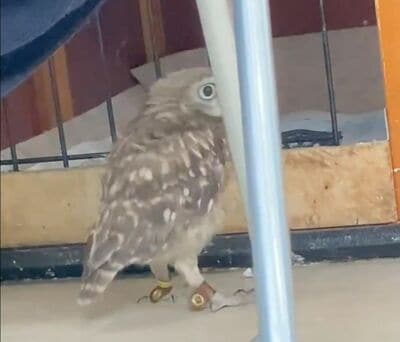 投稿動画のワンシーン