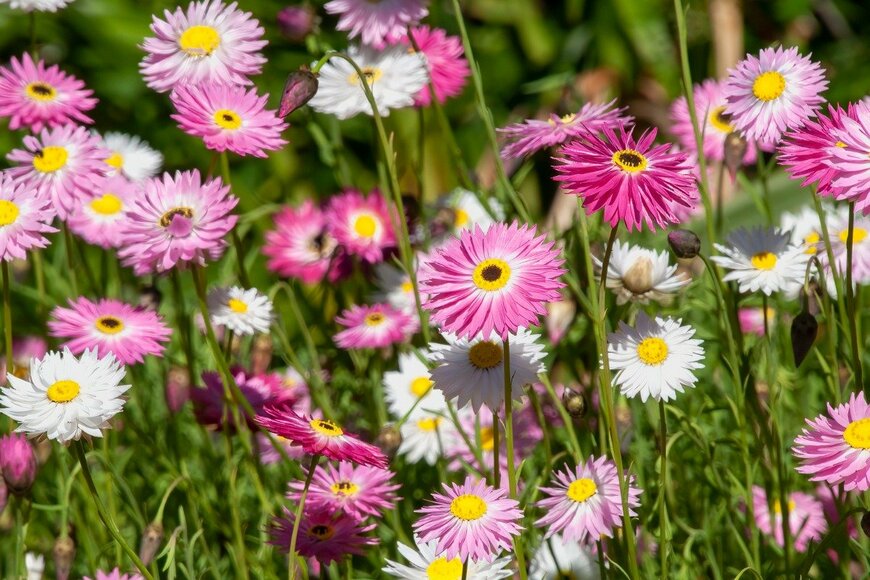 Karin de Mamiel/istockphoto.com