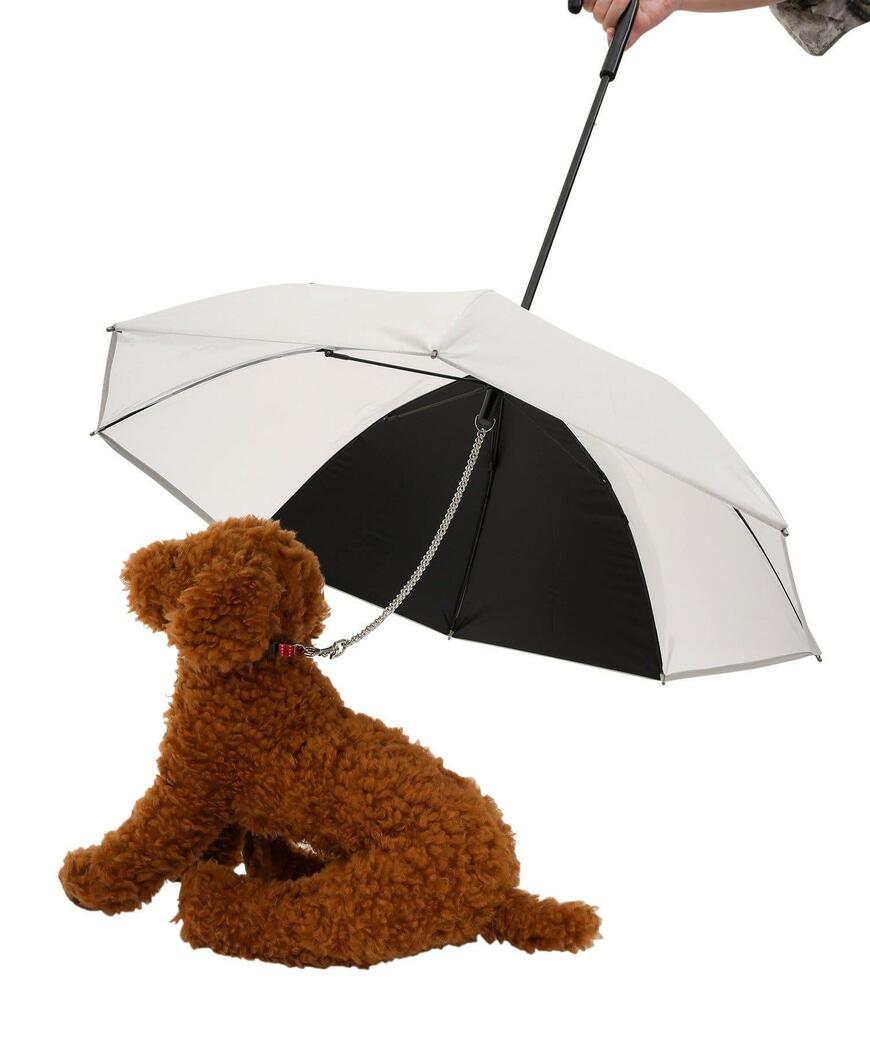 出所：パルグループ公式ファッション通販サイト 3COINS お散歩傘