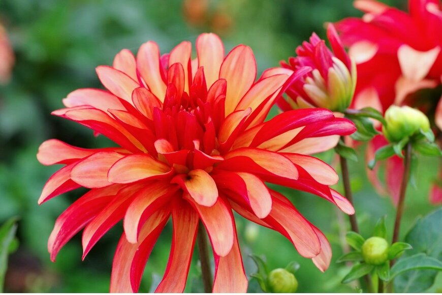 LianeM/istockphoto.com