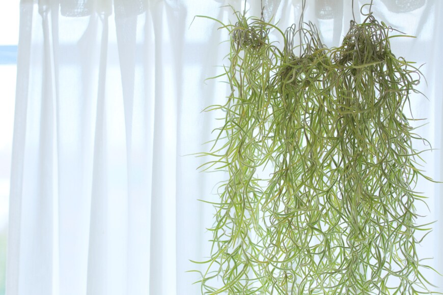 patchii/shutterstock.com