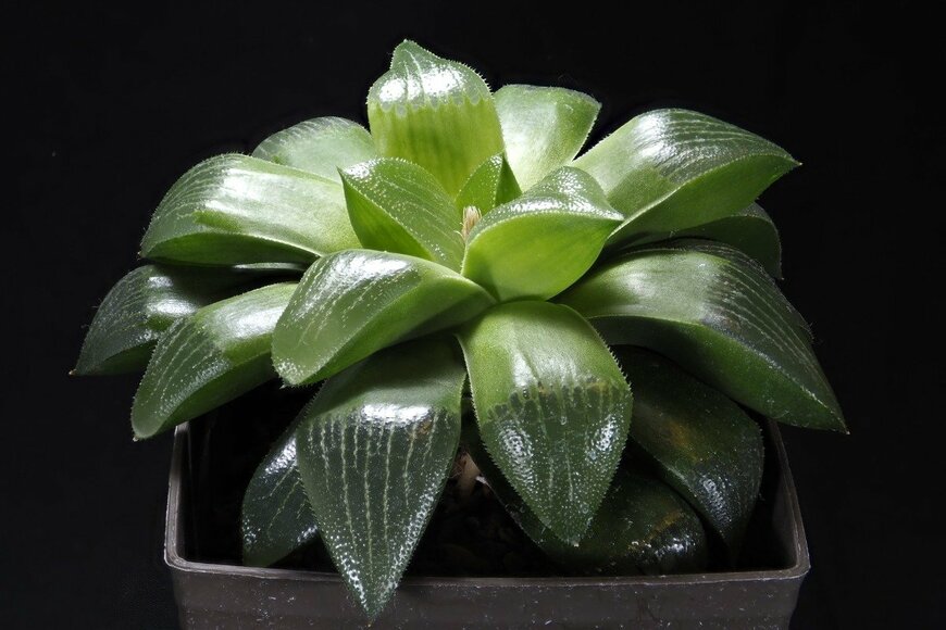 TokioMarineLife/istockphoto.com