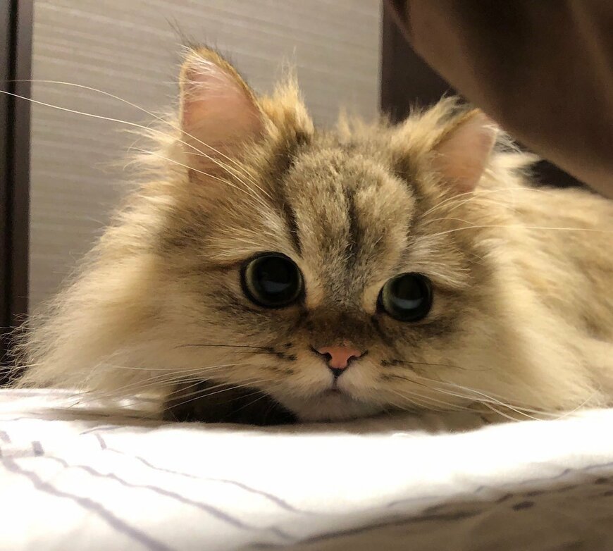 出所：@UphQepCv8J