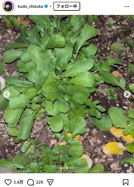 出所：工藤静香のInstagram（＠kudo_shizuka）　参照日：2026年3月9日