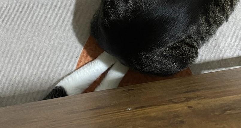 出所：@00shitemita