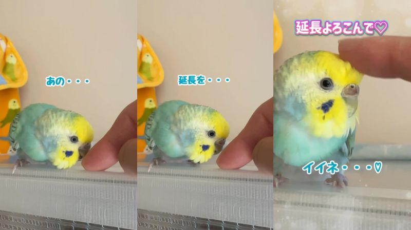 出所：@daiinkoteikoku_soraoto