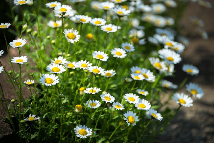 Kazzpix/istockphoto.com