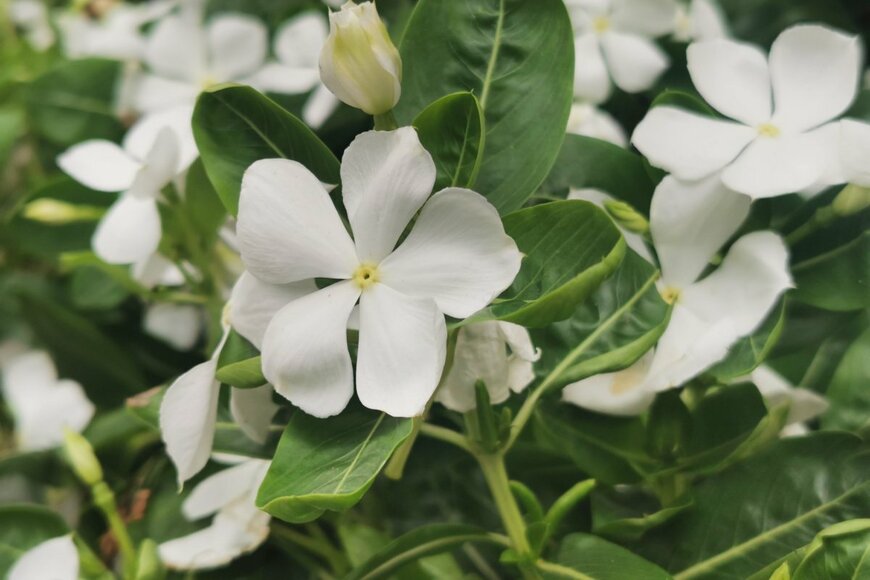 Omkoi/shutterstock.com